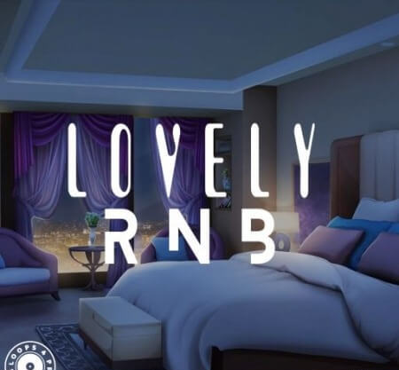 Loops 4 Producers Lovely RnB WAV